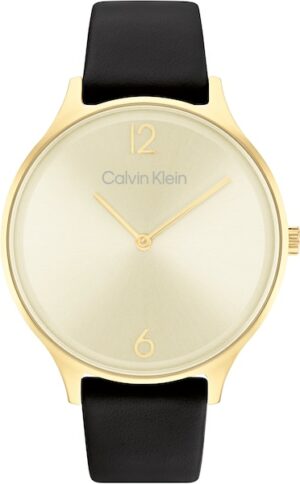 Calvin Klein Quarzuhr »Timeless 2H
