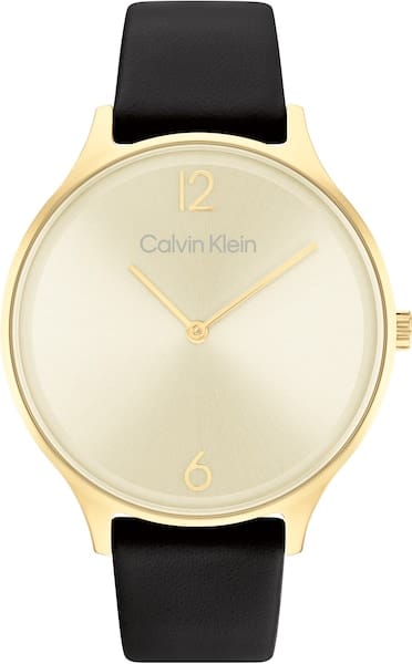 Calvin Klein Quarzuhr »Timeless 2H