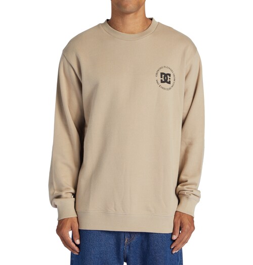 DC Shoes Sweatshirt »Concrete«