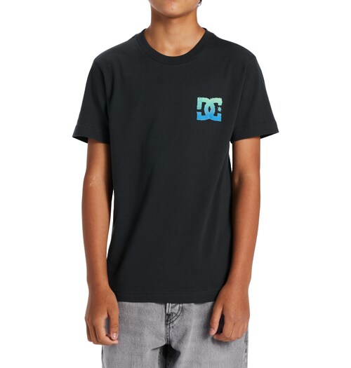 DC Shoes T-Shirt »Playtime«