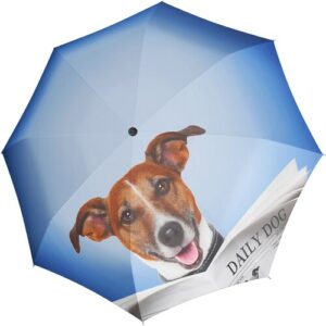 doppler® Stockregenschirm »Modern Art Lang Automatik