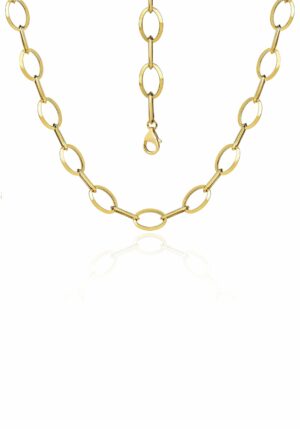 Firetti Goldkette »Schmuck Geschenk Gold 585