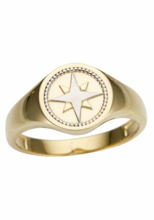 Firetti Goldring »Schmuck Geschenk Gold 333 Siegelring Kompass