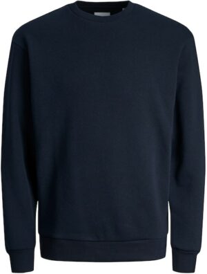 Jack & Jones Junior Sweatshirt »JJEBRADLEY SWEAT CREW NOOS JNR«