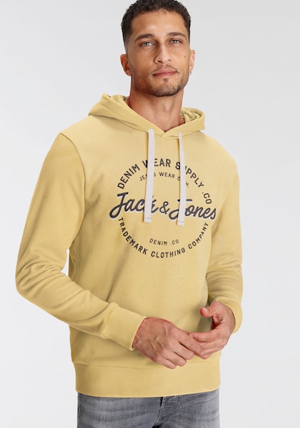 Jack & Jones Kapuzensweatshirt »JJ JJANDY SWEAT HOOD«