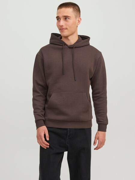 Jack & Jones Kapuzensweatshirt »JJEBRADLEY SWEAT HOOD NOOS«