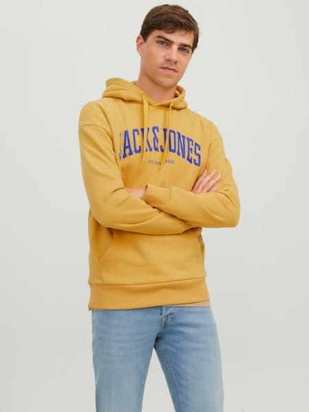 Jack & Jones Kapuzensweatshirt »JJEJOSH SWEAT HOOD NOOS«