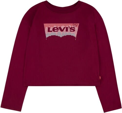 Levi's® Kids Langarmshirt »LVG MEET AND GREET GLITTER BATWING«