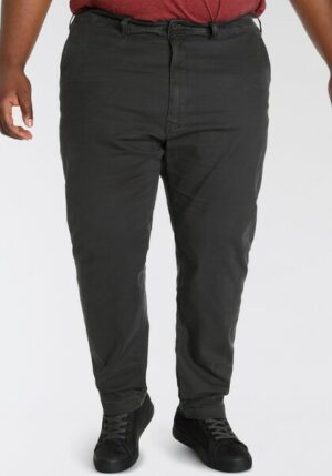 Levi's® Plus Chinohose »Chino XX STD TAPERED CHINO B&T«