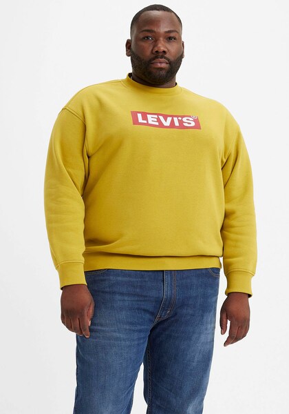 Levi's® Plus Sweatshirt »BIG RELAXED GRAPHIC CREW«