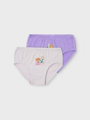 Name It Slip »NMFJUMA PAWPATROL 2P BRIEFS NOOS CPLG«