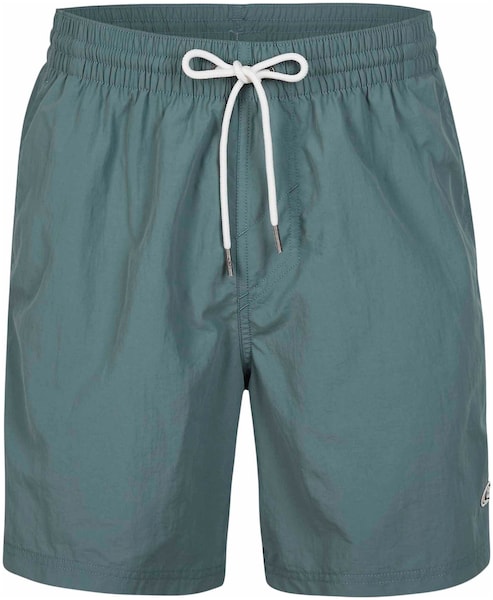 O'Neill Badeshorts »VERT 16'' SWIM SHORTS«