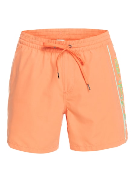 Quiksilver Badeshorts »Everyday Vert 16"«