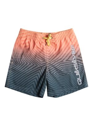 Quiksilver Badeshorts »Everyday Warped Logo 14"«