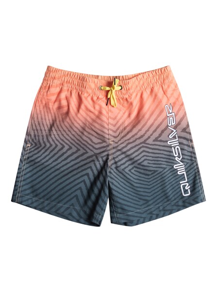 Quiksilver Badeshorts »Everyday Warped Logo 14"«