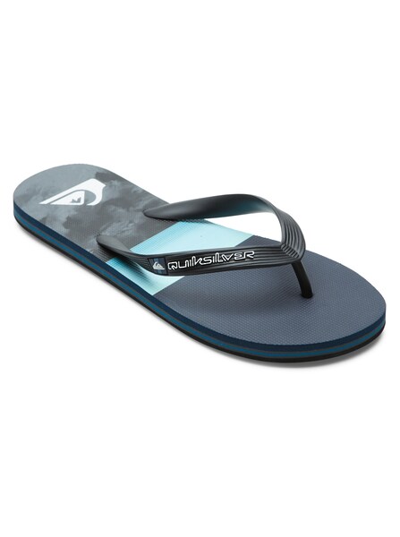 Quiksilver Sandale »Molokai Panel«