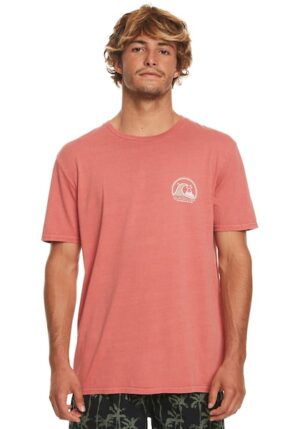 Quiksilver T-Shirt »CLEANCIRCLE TEES MMZ0«